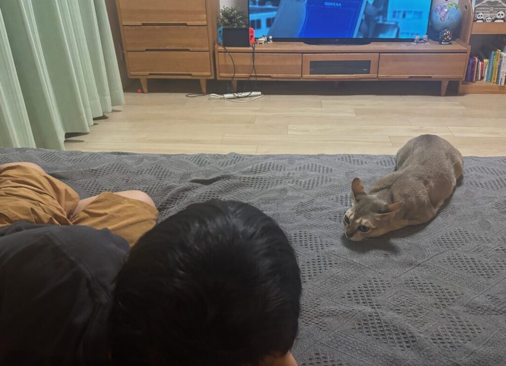 テレビを見ながらゴロゴロする息子