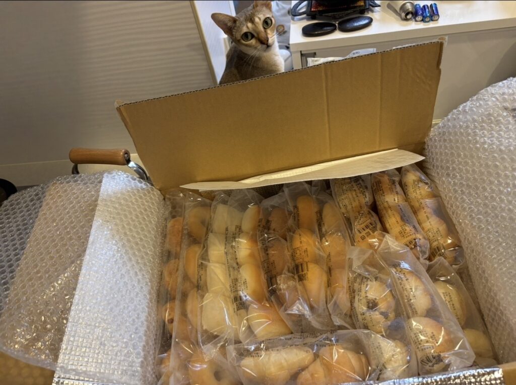 まとめて頼んだスタイルブレッド(STYLE BREAD)の冷凍パンが箱いっぱいに届いたところ。まとめて頼むと送料1回分